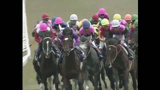 ウイニングチケット 1993年 第54回菊花賞(GI) (優勝馬：ビワハヤヒデ)