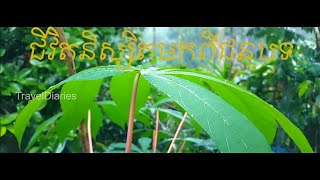 ជីវិតនិស្សិតមកពីជនបទ/ Jivit Niset mok Pi jun Bot__Tola( Lyrics Music Video)