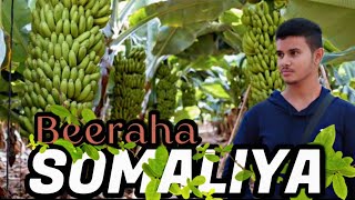 qeyraatka dalka somaaliya oo aan la soo kowa karin muqalkan ka daawo#somaliya #subscribe  #somalia