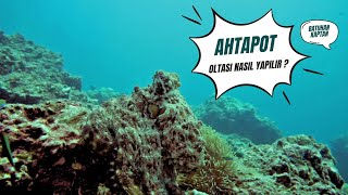 AHTAPOT OLTASI - İŞTE O MERAK EDİLEN AHTAPOT TAKIMI YAPIMI