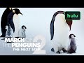 March of the Penguins 2: Trailer (Official) | Hulu