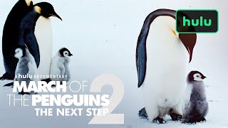 March of the Penguins 2: Trailer (Official) | Hulu