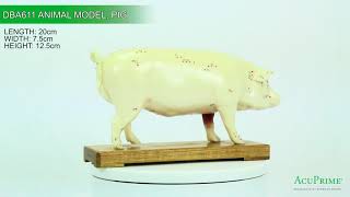 AcuPrime: Pig Model DBA611