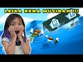 LEIKA HANYUT DI ROBLOX TSUNAMI SURVIVAL