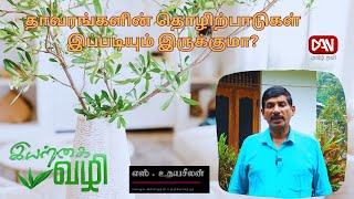 இயற்கை வழி | 30.01.2025 | தாவரங்களின் தொழிற்பாடுகள் இப்படியும் இருக்குமா?