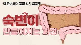 숙변이 생기는 원인과 과정 그리고 우리 몸의 독소