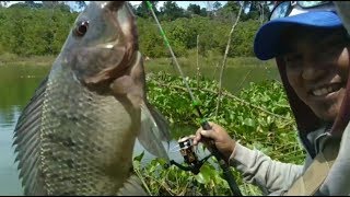 Mancing di pinggir danau dekat eceng gondok\