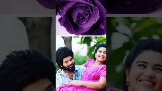 sembaruthi serial Aadhi Parvathi