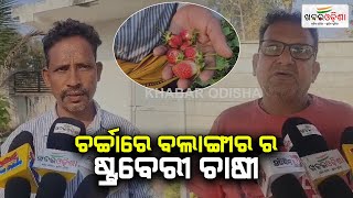 Strawberry Farmer From Balangir Gets Attention | Balangir | Khabar Odisha