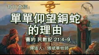 253.《单单仰望铜蛇的理由》旧约：民数记21：4-9传道人：傅斌华牧师