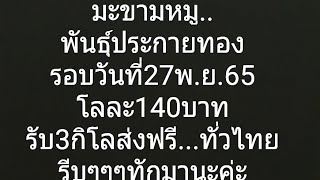 มาแล้วมะขามหมูพันธุ์ประกายทองราคาเท่าไหร่มาจับจองได้เลย