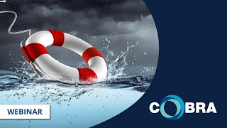 COBRA webinar 20200420: Business Rescue Overview