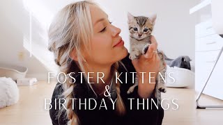 Foster Kittens & Birthday Things | Weekly Vlog | Cassie Randolph