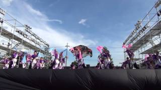 よさこい江州・愛翔　セミファイナル　2012あっぱれ祭り