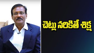 చెట్లు నరికితే శిక్ష | Dr.G.Ramalingam,IFS Chief Conservator Of Forests | V Media News