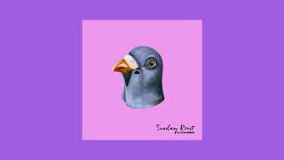 Still Pigeon - Sunday Roost (Full EP)