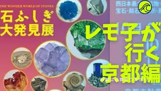 石好き必見！京都ミネラルショー！石ふしぎ大発見展！