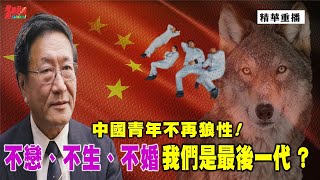 [精華]程曉農博士:中國青年不再狼性! 不戀、不生、不婚 我們是最後一代 ?@democratictaiwanchannel