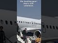 2 bodies found in jetblue plane s landing gear at fort lauderdale airport news 12