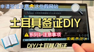 申请土耳其签证，DIY官网提交1分钟出签，避坑！请注意这几个伪网站！详细申请步骤翻看下集#土耳其 #签证 #DIY #出国 #旅行 #护照 #永居 #移民