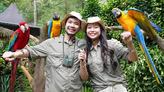 Download Mp3 Ke Taman Safari Sama Ayang Sisca Kohl