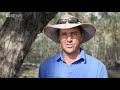 despite damage from recent crippling drought the darling river is seeing a recovery abc news