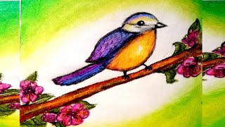 Bird Drawing | How to draw Bird with oil Pastel | Oil Pastel Lover