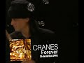 cranes forever 26 de abril de 1993 alisonshaw cranesband