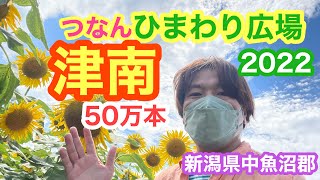 2022年8月11日 津南ひまわり広場2022 50万本の向日葵 新潟県中魚沼郡