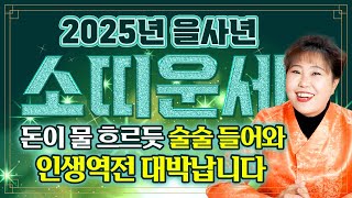 🌟2025년 을사년 초대박터지는 소띠운세🌟 하늘에서 돈벼락 맞아 인생 초대박터지는 소띠분들 축하드립니다! 인생역전이다! 49년생 61년생 73년생 85년생 97년생 소띠 운세!