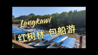 Langkawi Kilim Geoforest Park , 红树林包船游！