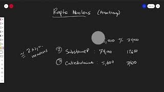 The Raphe Nuclei: Anatomy