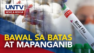 DA, nagbabala sa publiko laban sa bird flu vaccines na ibinebenta online