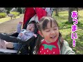 満開の桜を見ながらサンドイッチを爆食いする大食い2歳娘【お花見リベンジ】