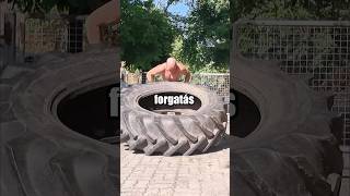 Traktor gumi forgatás STRONGMAN VS. kondis srác