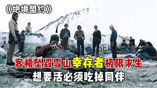 2024超震撼的灾难大片《绝境盟约》，客机坠毁雪山，幸存者极限求生！