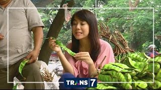 DOELOE SEKARANG - PETAI TAK SEPERTI DULU (5/12/16) 2-1