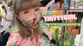 Tinyyy ชวนปลูกต้นกระบองเพชร