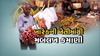 AGRICULTURE: સુરેન્દ્રનગરના ધ્રાંગધ્રાના ખેડૂતે કરી બતાવ્યું કારનામુ, તોડી પાડી આ માન્યતા!