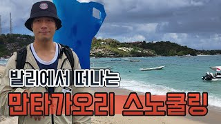 발리에서 만타가오리를 볼 수 있다구요??? ▶발리스노쿨링◀