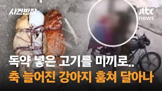 독약 넣은 고기를 미끼로…축 늘어진 강아지 훔쳐 달아난 '개도둑' #글로벌픽 / JTBC 사건반장