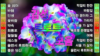 감성 트로트 모음 KPOP (TROT) PLAYLIST 🔍 ( 꽃길.상사화.여인의 눈물.회룡포.바람길)