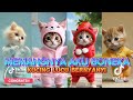 MEMANGNYA AKU BONEKA VERSI KUCING LUCU DAN KAWAN KAWAN TERBARU