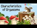 Characteristics of Organisms