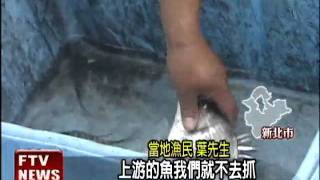 捕淡水河毒魚賣 官員採樣－民視新聞