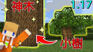 Minecraft＿冠冠生存EP05:憤怒的把我家砍倒！弄出一棵超巨神木！【1.17原味生存S2】