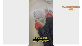 商品評測 【現貨免運】正品washwow 懶人洗衣機 攜帶式 洗衣神器 微型洗衣機 活性氧分解去污 附送旅行收納包 小型洗