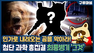 [구루마블] 일본 '곰' 퇴치 최종병기, 괴수를 잡기 위해 괴수를 풀었다! / YTN