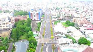 【看見嘉義 空拍の美】 市區 行道樹の秋季 台灣欒樹