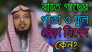 রাতে গাছের পাতা ও ফুল ছেঁড়া নিষেধ কেন? || Sheikh Ahmadullah || Kuran Hadees